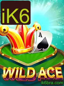 Explorando o Mundo Emocionante de WildAce: Um Guia Completo